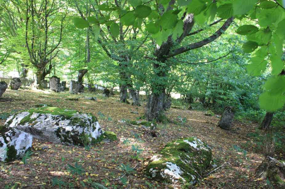 Nekropola sa stećcima u Bečanima, historijsko područje